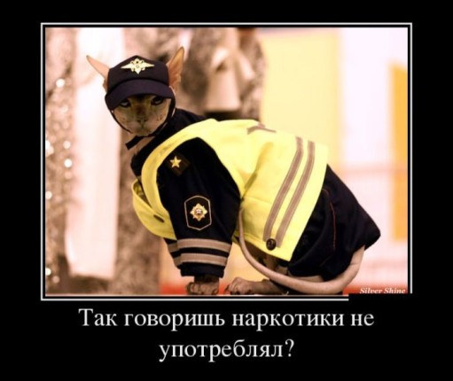 Мудрость души. Или как зависимость превратить в те_0.jpg